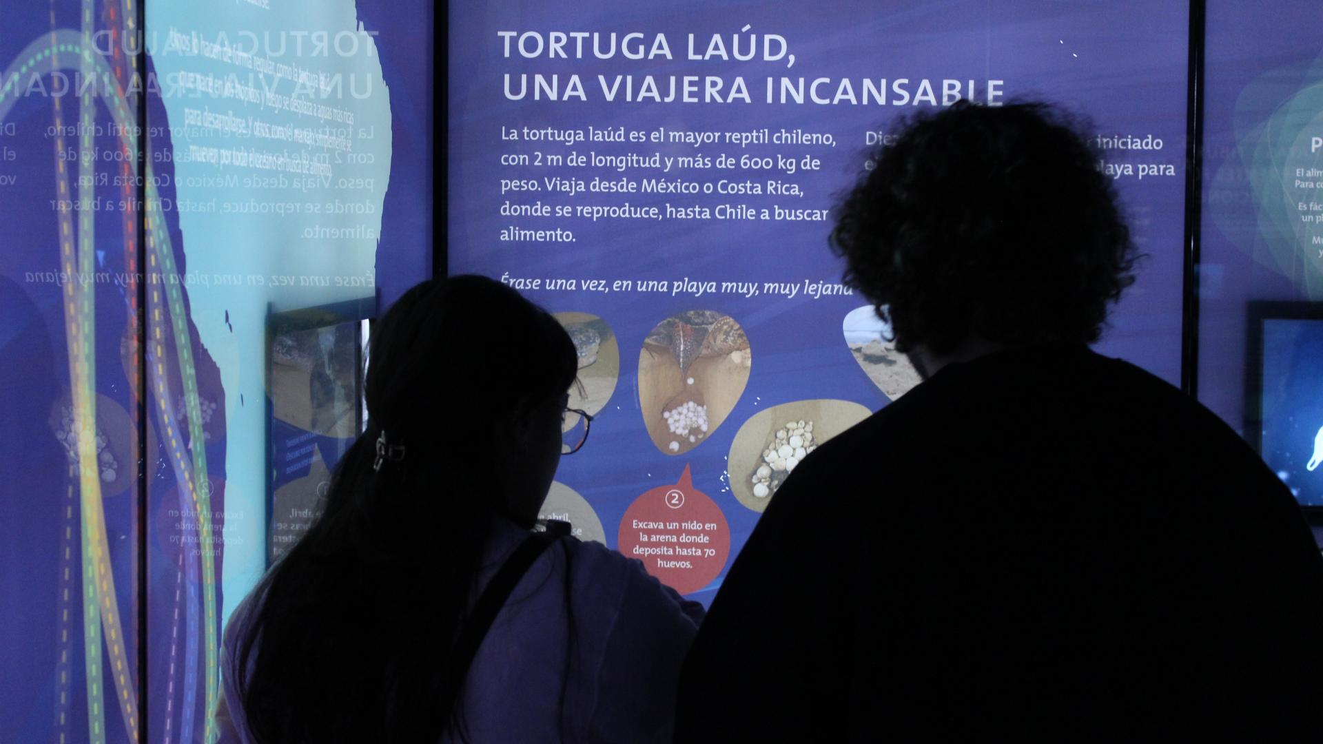 Visitantes museo sala de exposición "Migraciones"