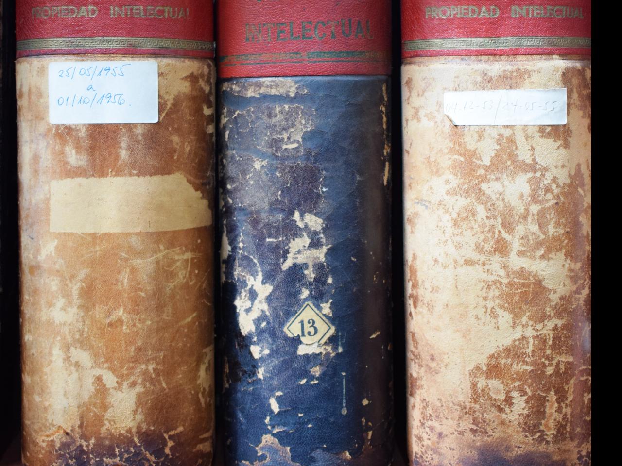 Libros de Registro DDI