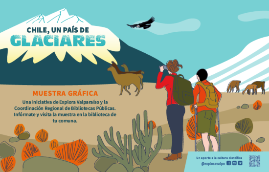 Afiche Muestra gráfica
