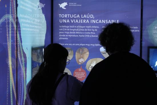 Visitantes museo sala de exposición "Migraciones"