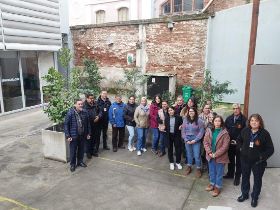 donacion de árboles al museo