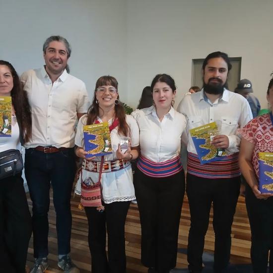 estudios guayacan