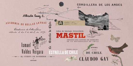 Collage minisitios 2024 de Memoria Chilena.