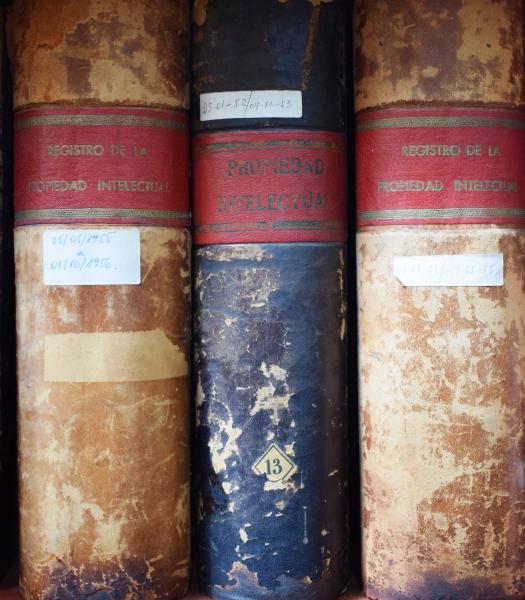 Libros de Registro DDI